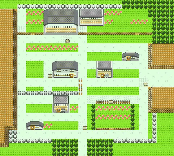 Pokémon Gold and Silver/Pewter City  StrategyWiki, the ...
